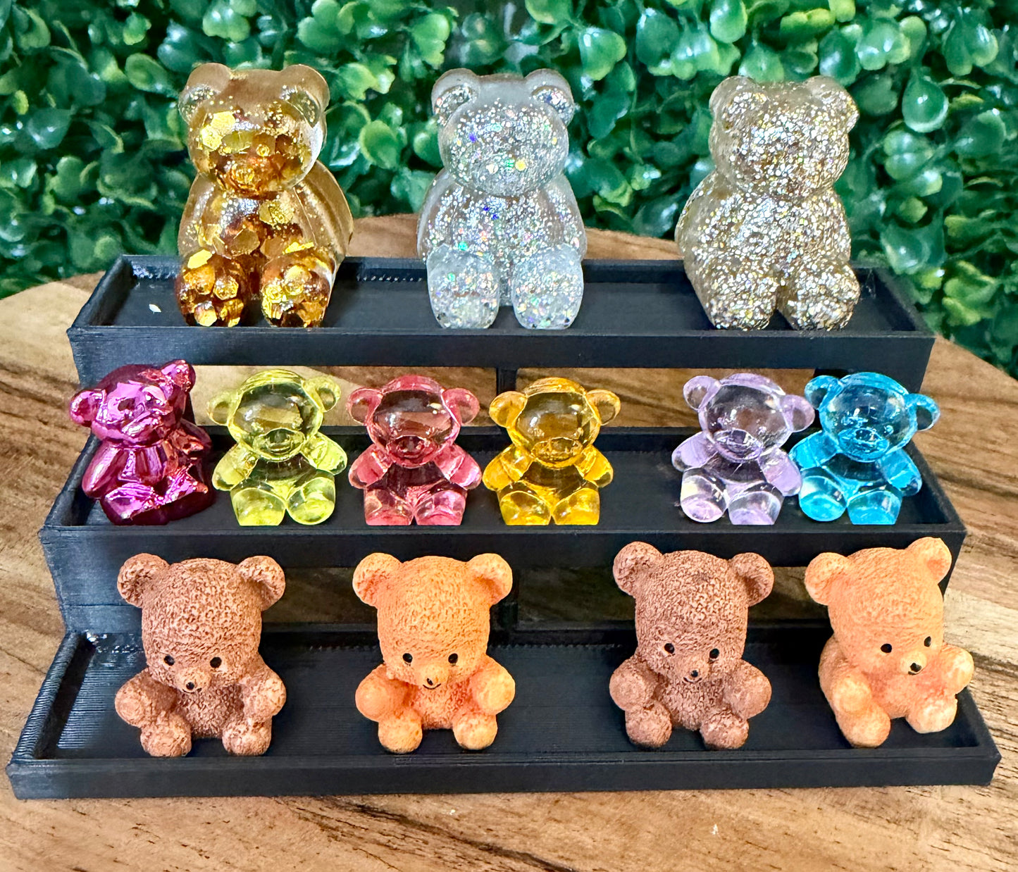 Bear Display Bleachers